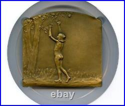 France 1900 Noces D'argent Bronze Art Medal By Baudichon 72mm X 67mm Ngc Ms65
