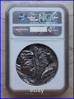 NGC MS70 Matte China 2016 2oz Solid Silver Medal Chinese Bird Lizard