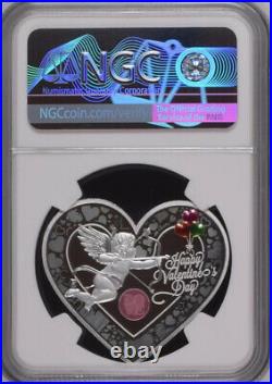 NGC PF70 2019 China Valentine's Day Panda 25g Silver Medal First Releases