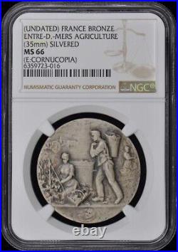 Undated France Bronze Entire Agriculture 35mm Silvered NGC MS66